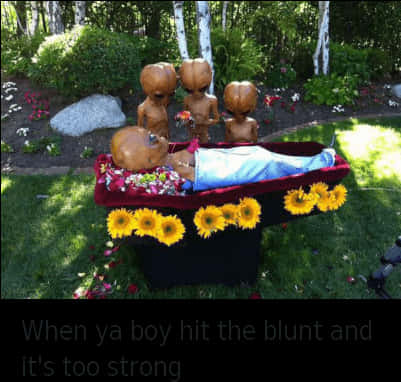 南瓜人圍繞著 blunt 哭泣 壁紙
