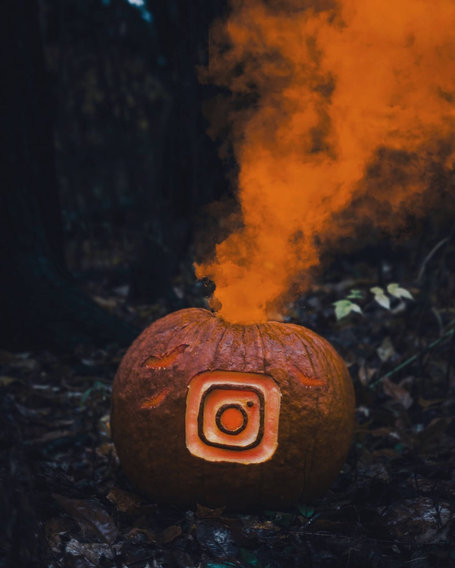 刻有Instagram標誌的雕刻南瓜在黑暗的森林中散發出橙色煙霧。