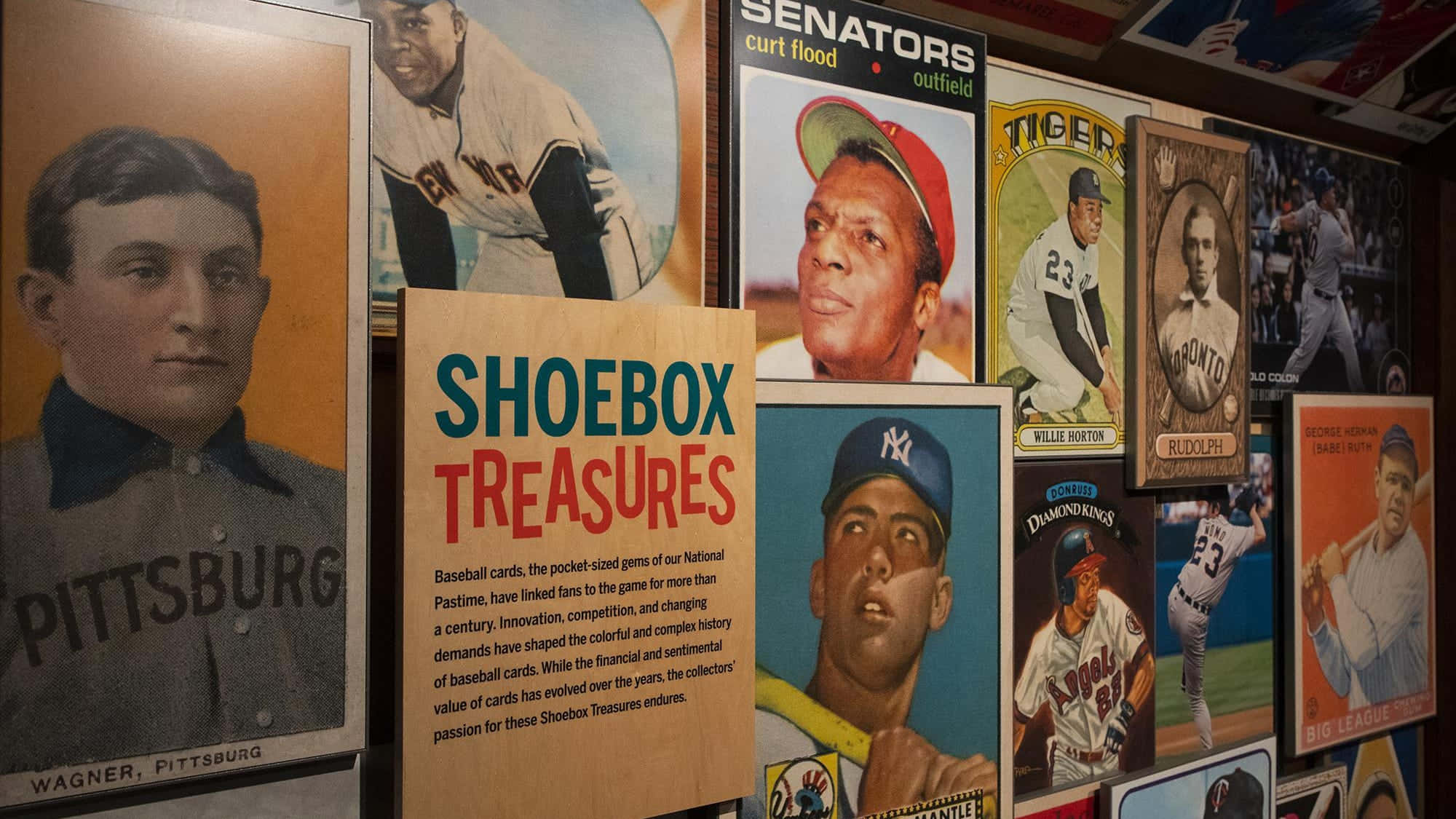 Baseball Cards 桌布 壁紙 — 博物館展覽中，牆上展示著復古棒球卡和一個寫有「SHOEBOX TREASURES」的標牌。