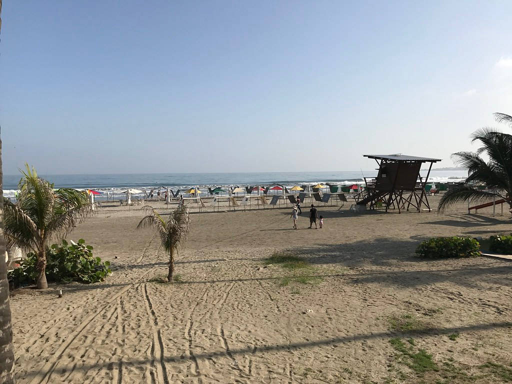 陽光明媚的天空下，有棕櫚樹、沙灘椅和救生員瞭望塔的海灘