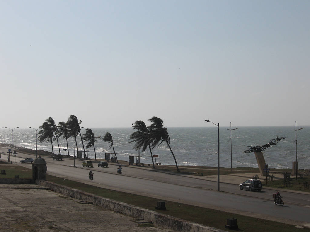 海邊道路，棕櫚樹在強風中彎曲，旁邊是翻騰的海洋。