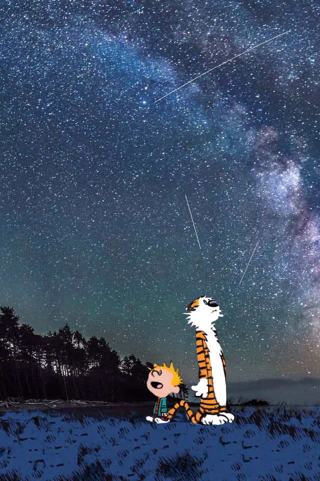 卡文與霍布斯夜空手機背景 壁紙 — 卡爾文和霍布斯驚嘆地凝視著佈滿流星和銀河的星空夜空。