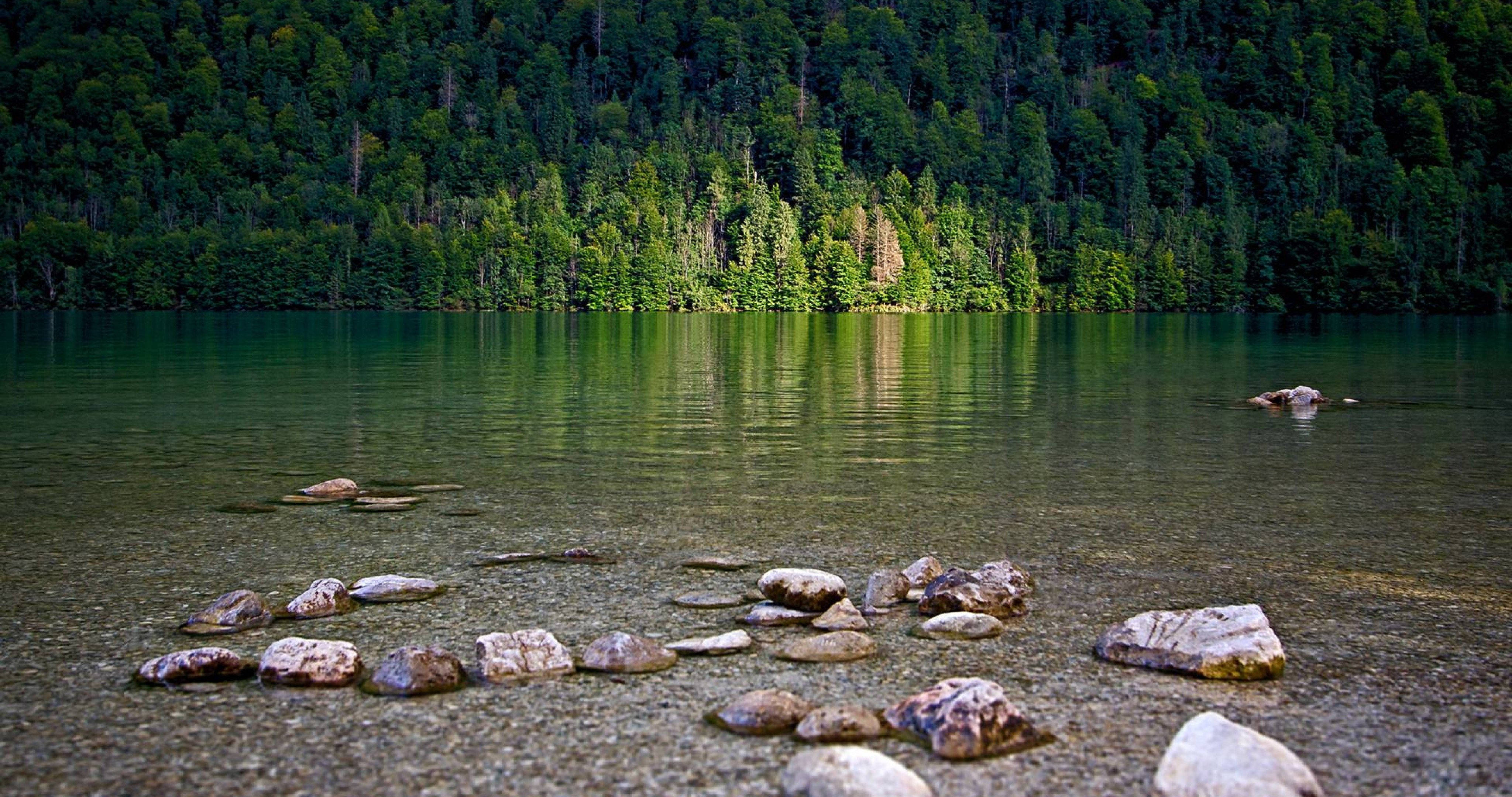 卡梅倫森林湖 壁紙 — 一個寧靜的湖泊，前景有清澈的水和散落的岩石，周圍是茂密的綠色森林。