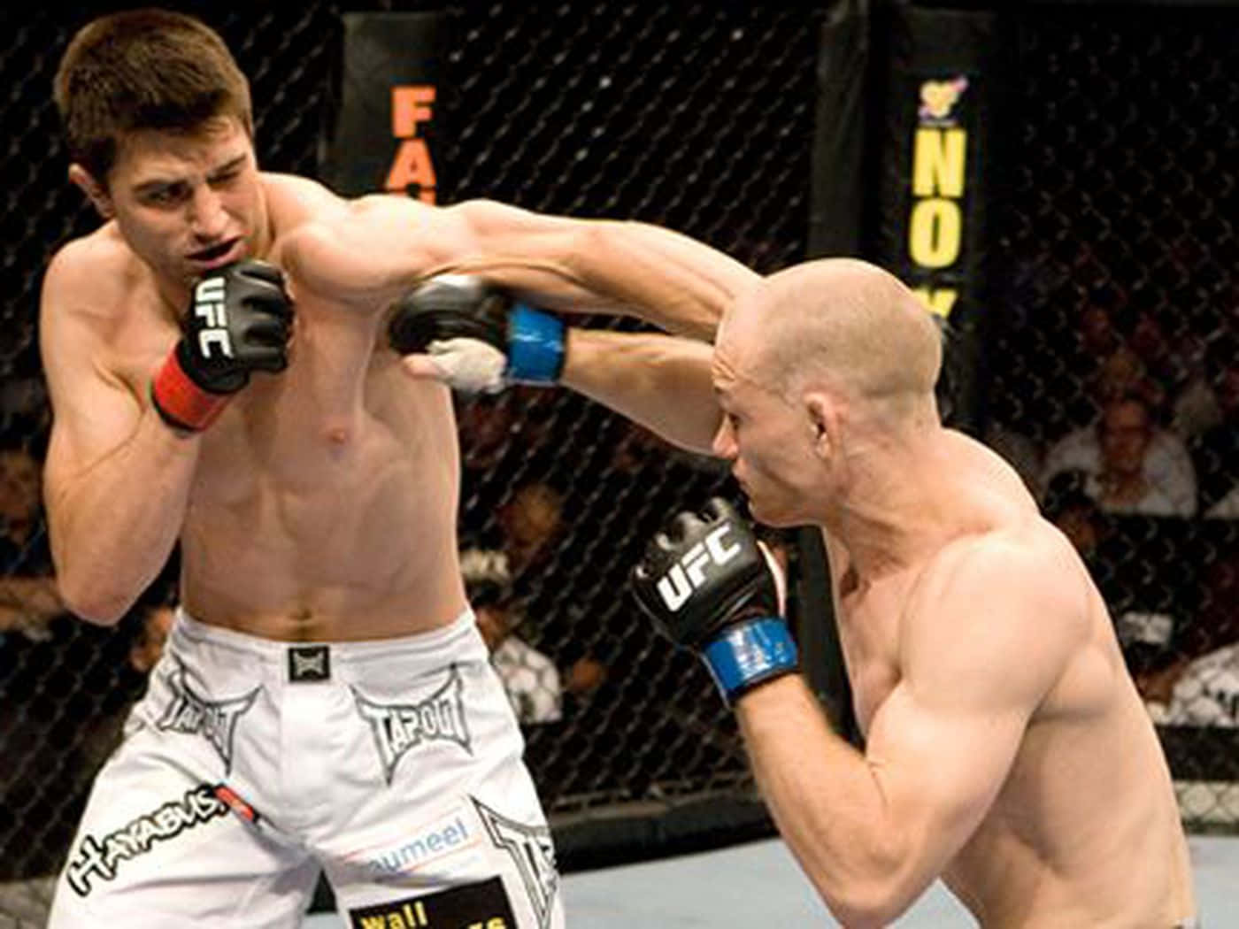 兩名戴著MMA手套的男性拳手在八角形鐵籠內互相出拳。