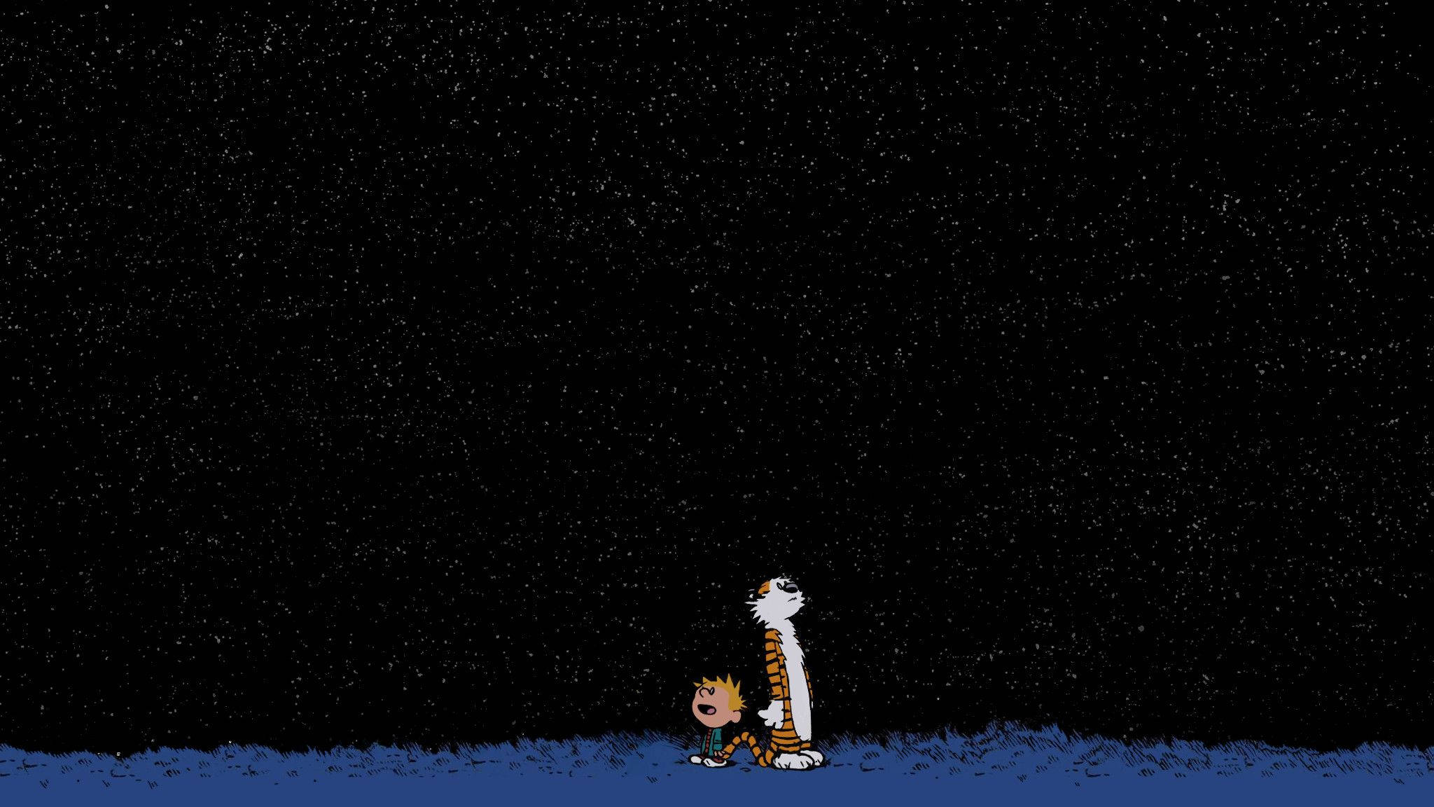 卡爾文與霍布斯仰望星空 壁紙 — 卡爾文和霍布斯在深藍色的草地地平線下仰望星空。