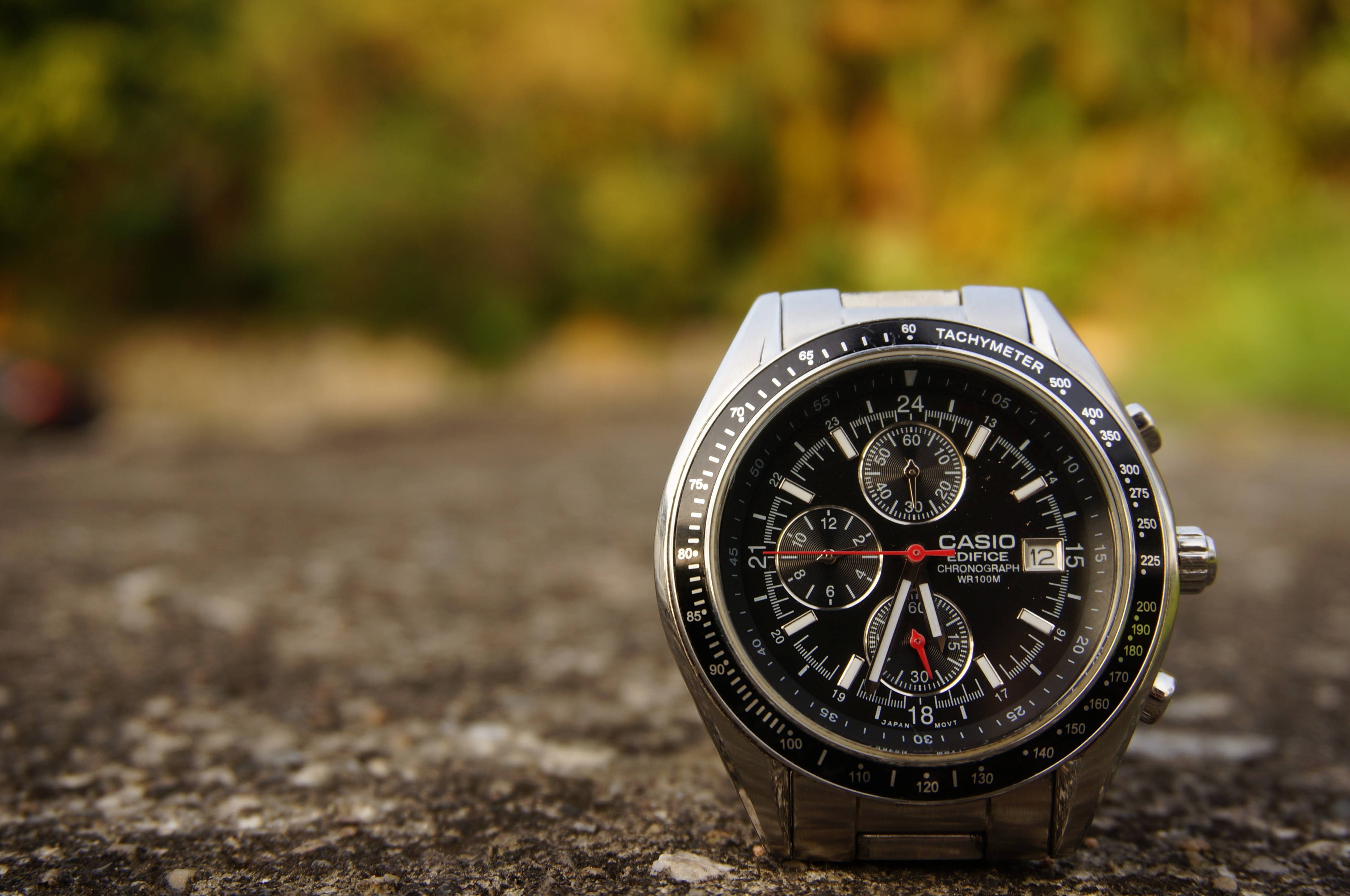 卡西歐Edifice腕錶攝影 壁紙 — 一隻時尚的銀色 Casio Edifice 計時碼錶放在有紋理的石面上，背景是模糊的秋葉。