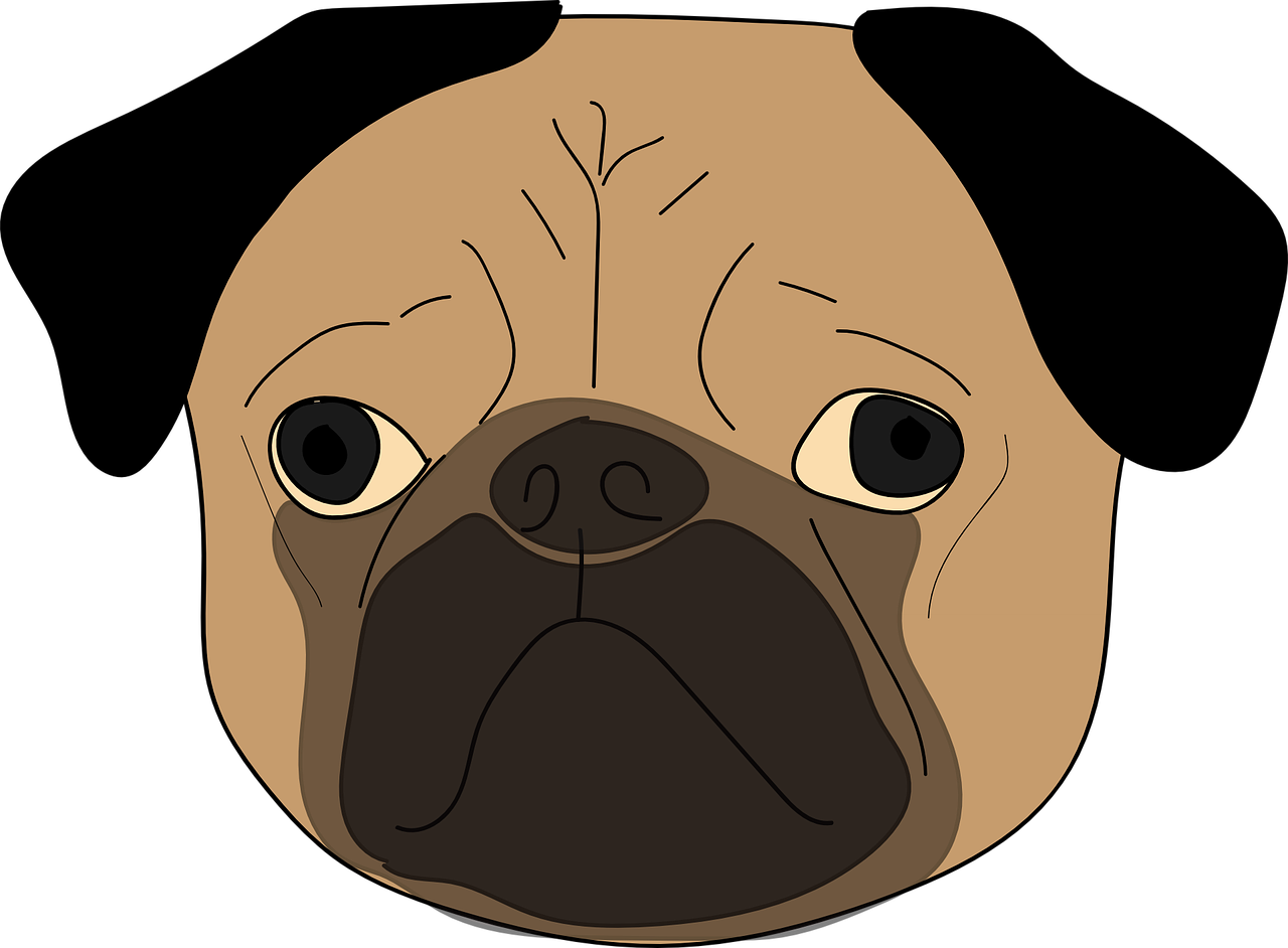 卡通八哥犬臉插畫 壁紙