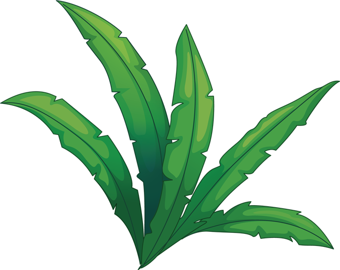 卡通叢林植被 壁紙 — 充滿活力的綠色卡通葉子，邊緣呈鋸齒狀，在純黑色背景上向外輻射。