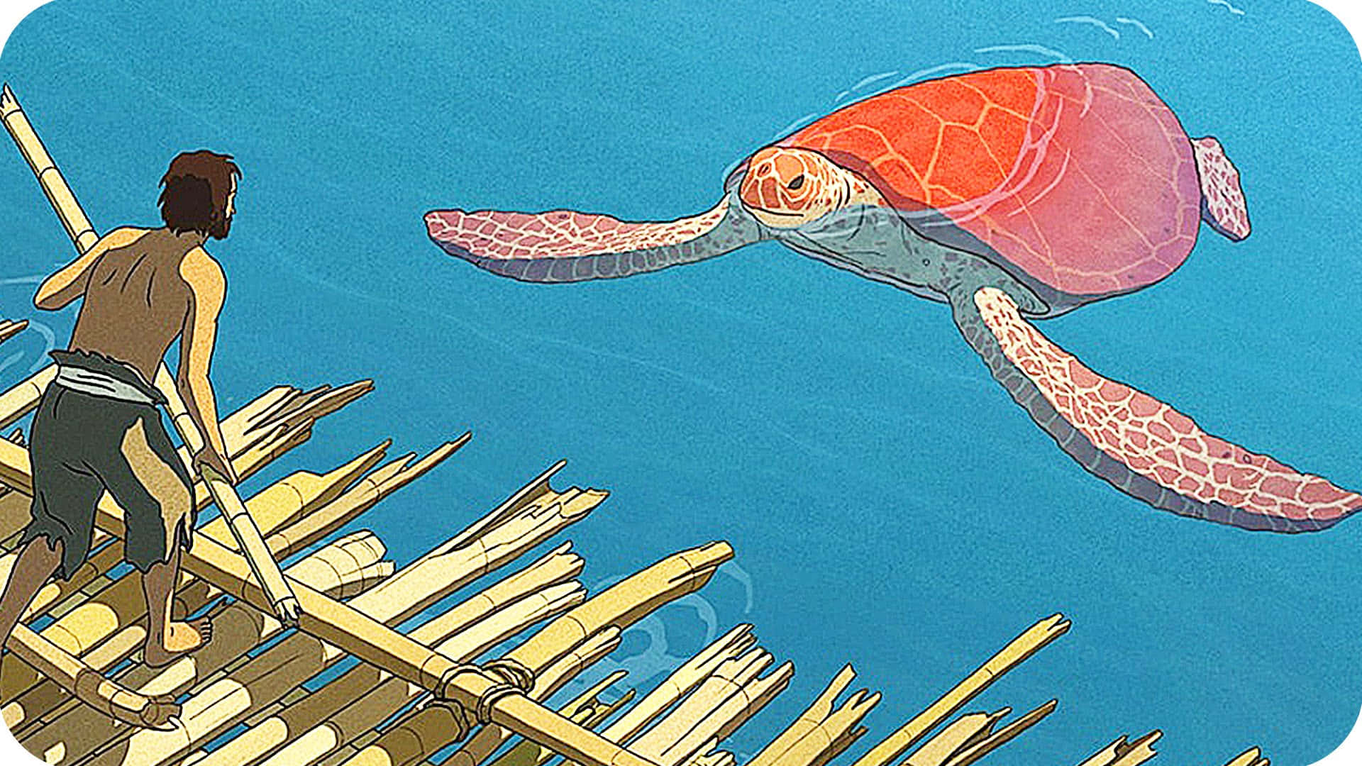 竹筏上的男人看著紅色海龜在藍色海洋中游泳。