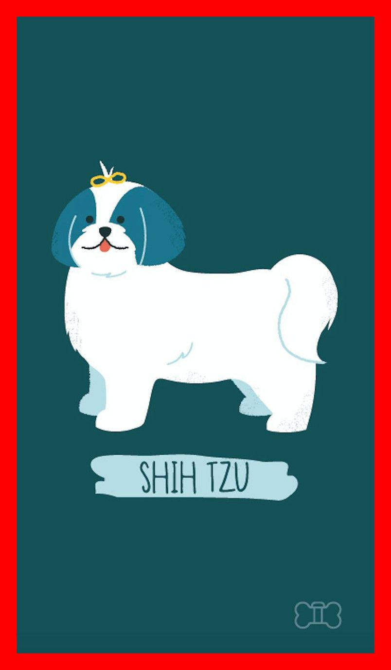 插畫西施犬，藍色耳朵和黃色蝴蝶結，青綠色背景。