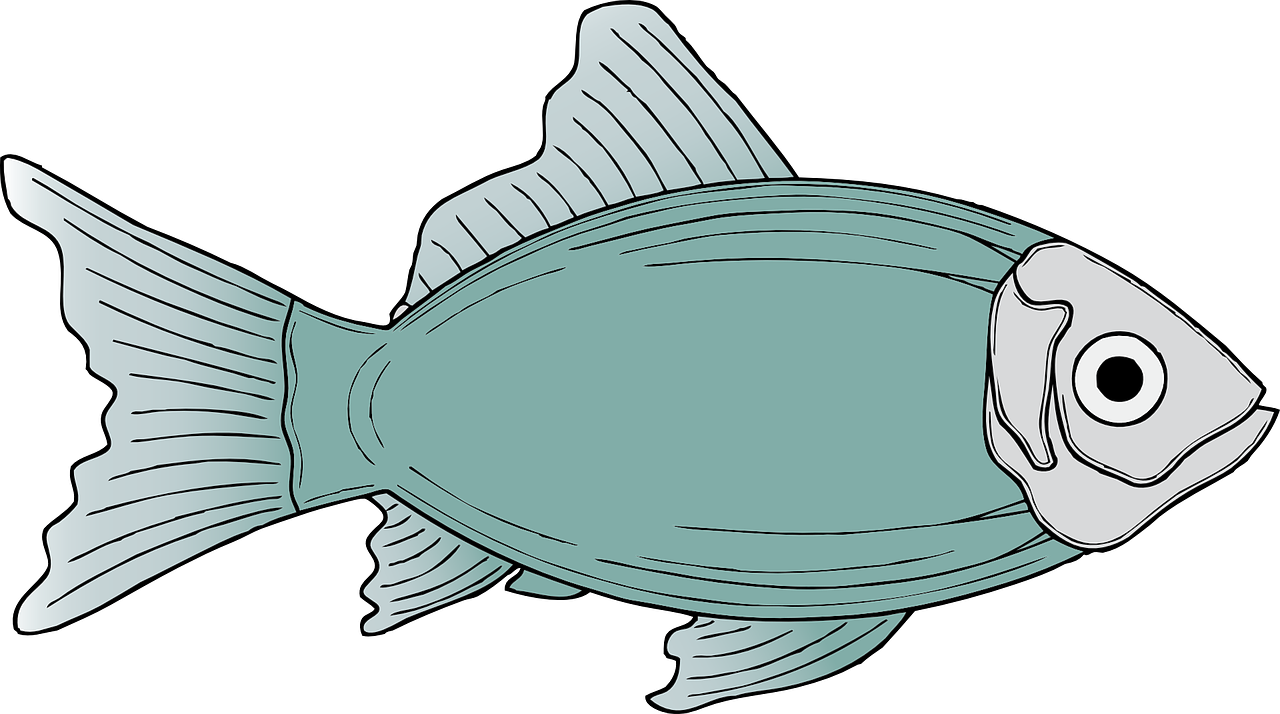 卡通魚插圖 壁紙