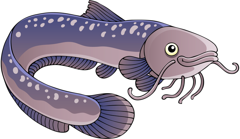 卡通鰻魚插圖 壁紙 — 一條風格化的卡通鯰魚，帶有紫色和灰色的鱗片和白色斑點，在黑色背景上游動。