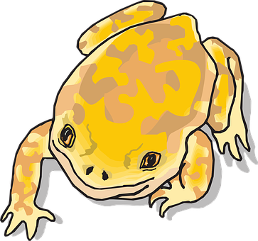 卡通黃色青蛙插圖 壁紙