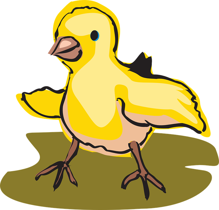 卡通黃色鳥類插圖 壁紙 — 一隻亮黃色卡通小雞，帶黑色輪廓，站在綠色地面上，背景為藍綠色。