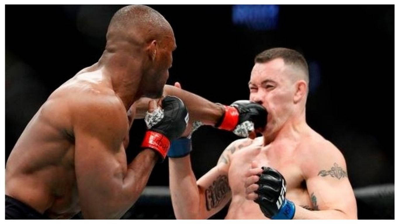 兩名MMA拳手在八角籠中比賽時互相揮拳。