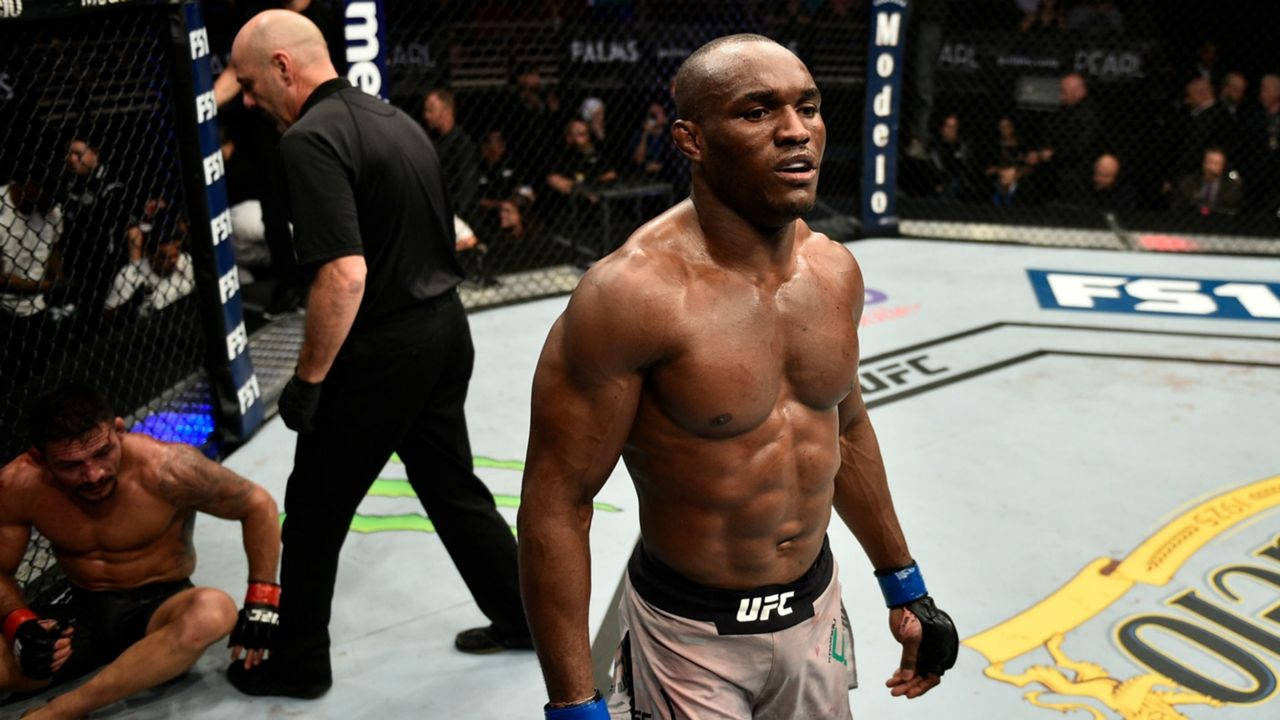 UFC拳手在八角籠中擊敗對手後勝利地站立