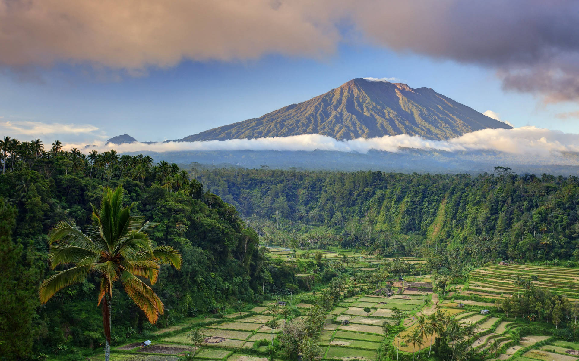 俯瞰梯田和叢林的火山