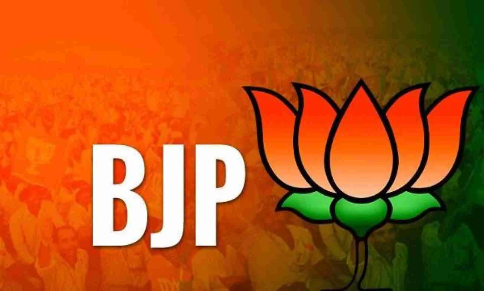 BJP政黨標誌，帶有蓮花符號，背景為模糊的人群。