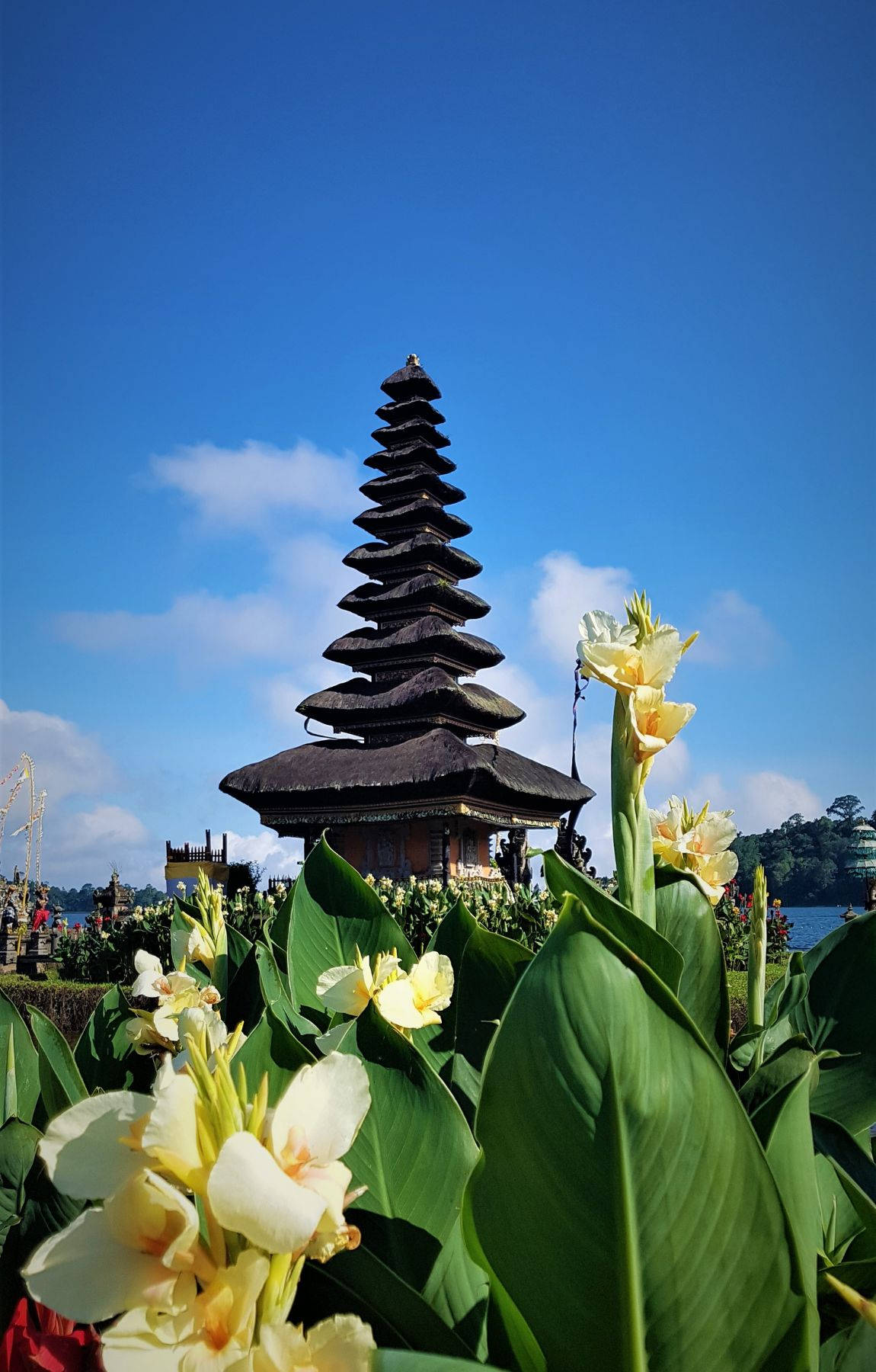在明亮的藍天下，被熱帶花卉環繞的峇里島寺廟。