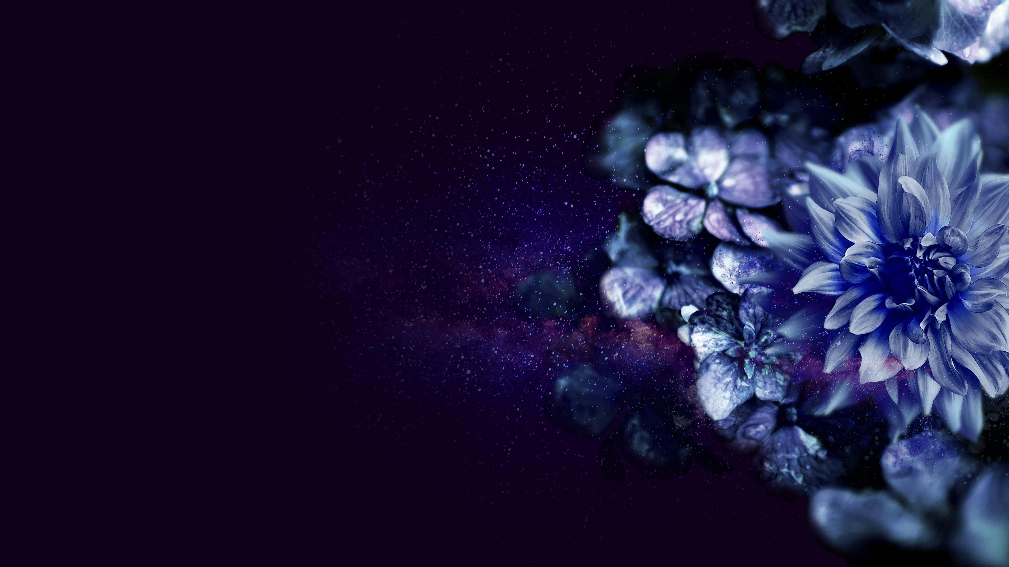 印於星際背景的 4K 花朵 壁紙 — 鮮豔的藍色和紫色花朵在帶有發光粒子的宇宙黑暗背景上綻放。