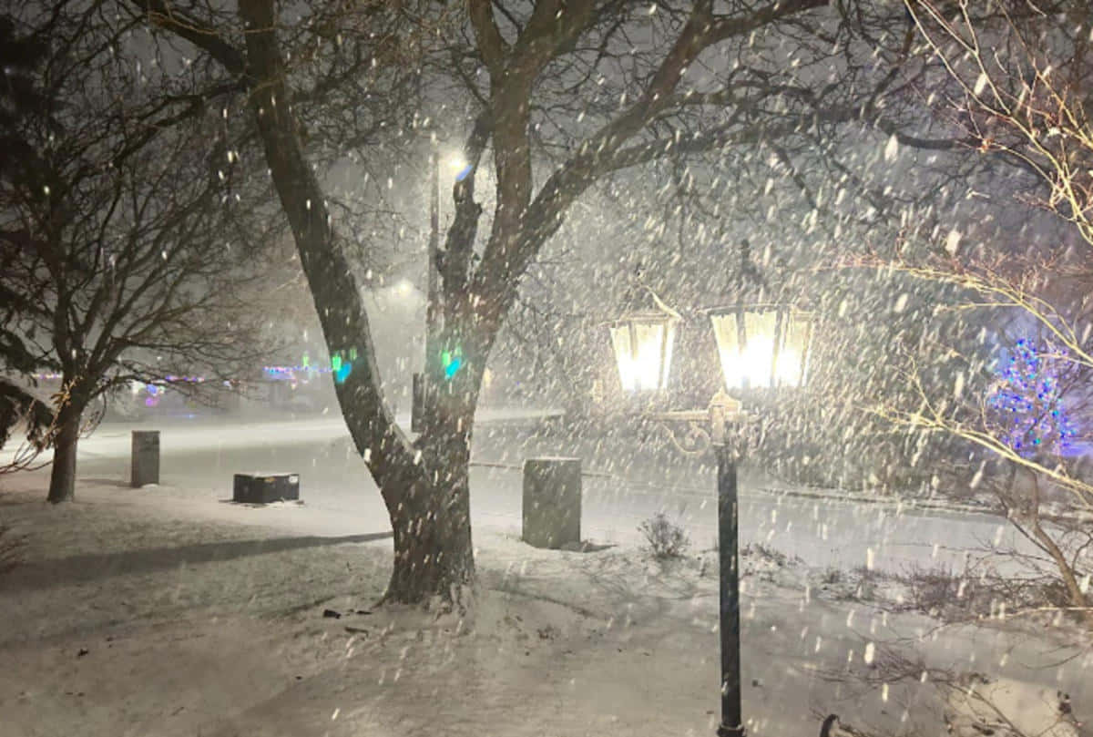 夜晚公園裡下著雪，被發光的街燈照亮。