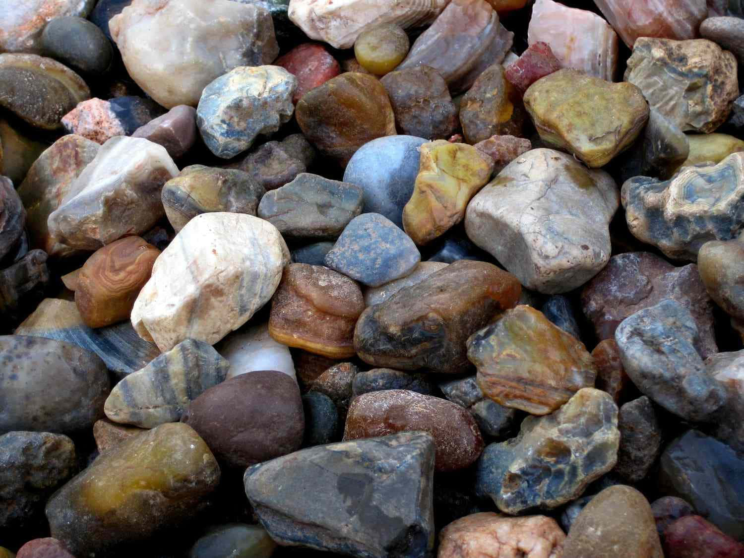 各種大地色調和形狀的平滑河石收藏。