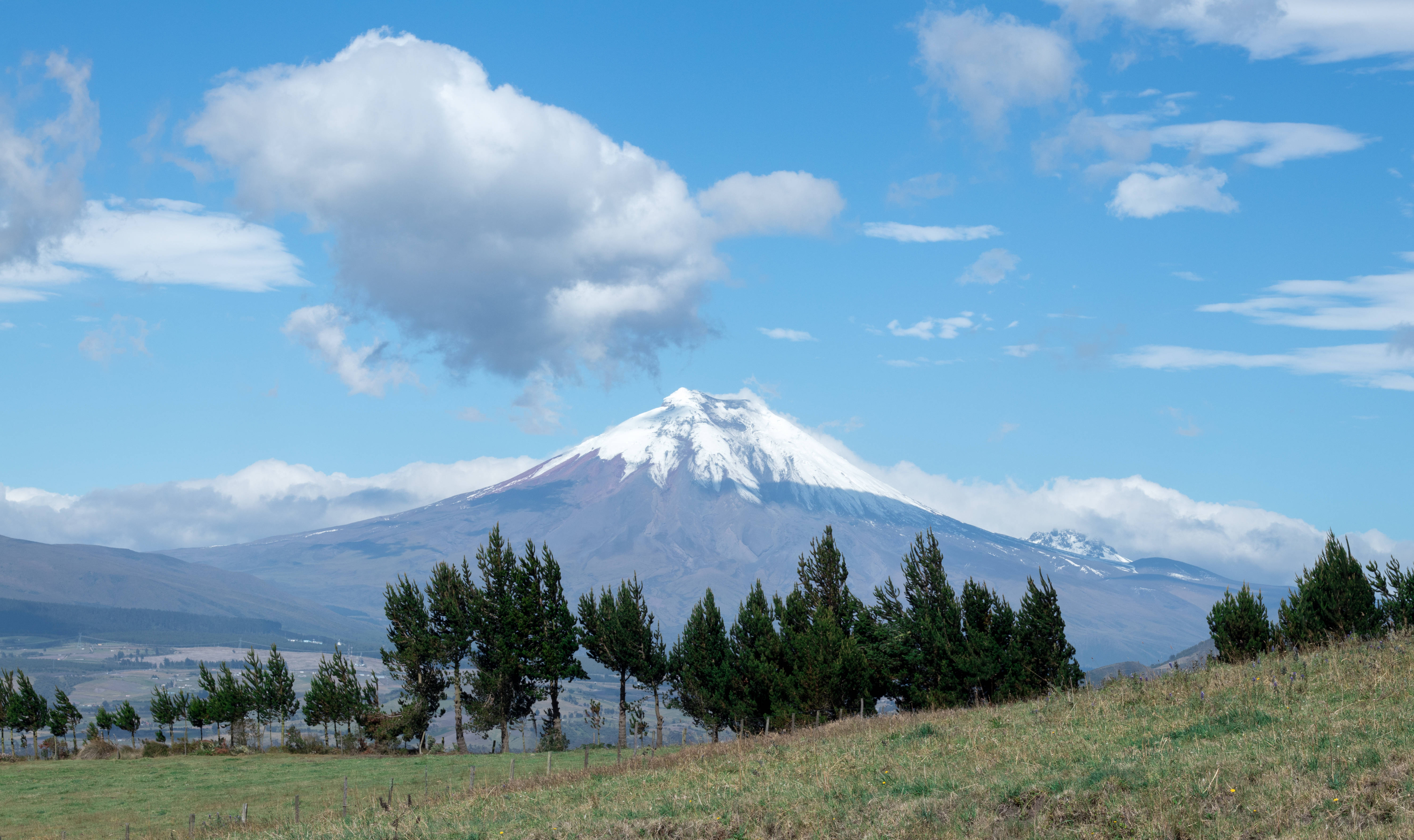 厄瓜多爾科托帕克火山 壁紙 — 一座雄偉的雪山聳立在綠色的田野之上，田野上散落著樹木，天空湛藍明亮，飄著蓬鬆的白雲。