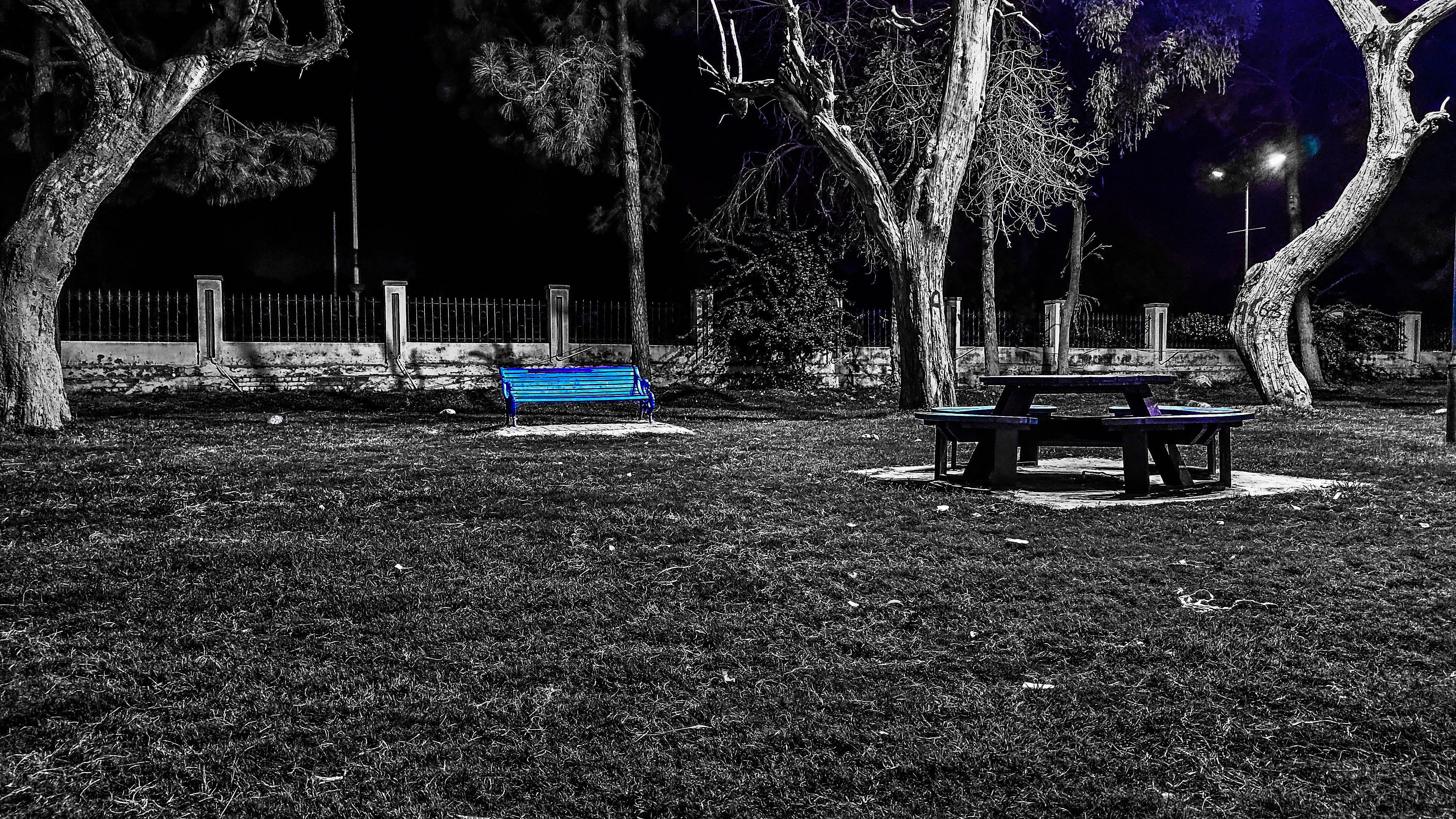 反社交藍色長椅 壁紙 — 一個鮮明的夜間公園場景，一張鮮藍色的長椅和野餐桌在街燈下發光，背景是單色的樹木和草地。