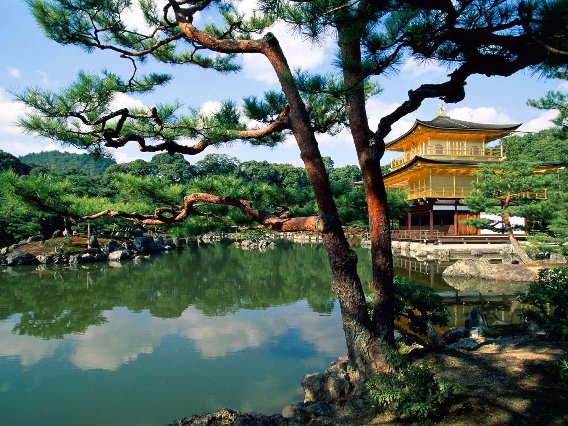 金色寺廟倒映在寧靜的池塘中，周圍環繞著松樹和岩石。