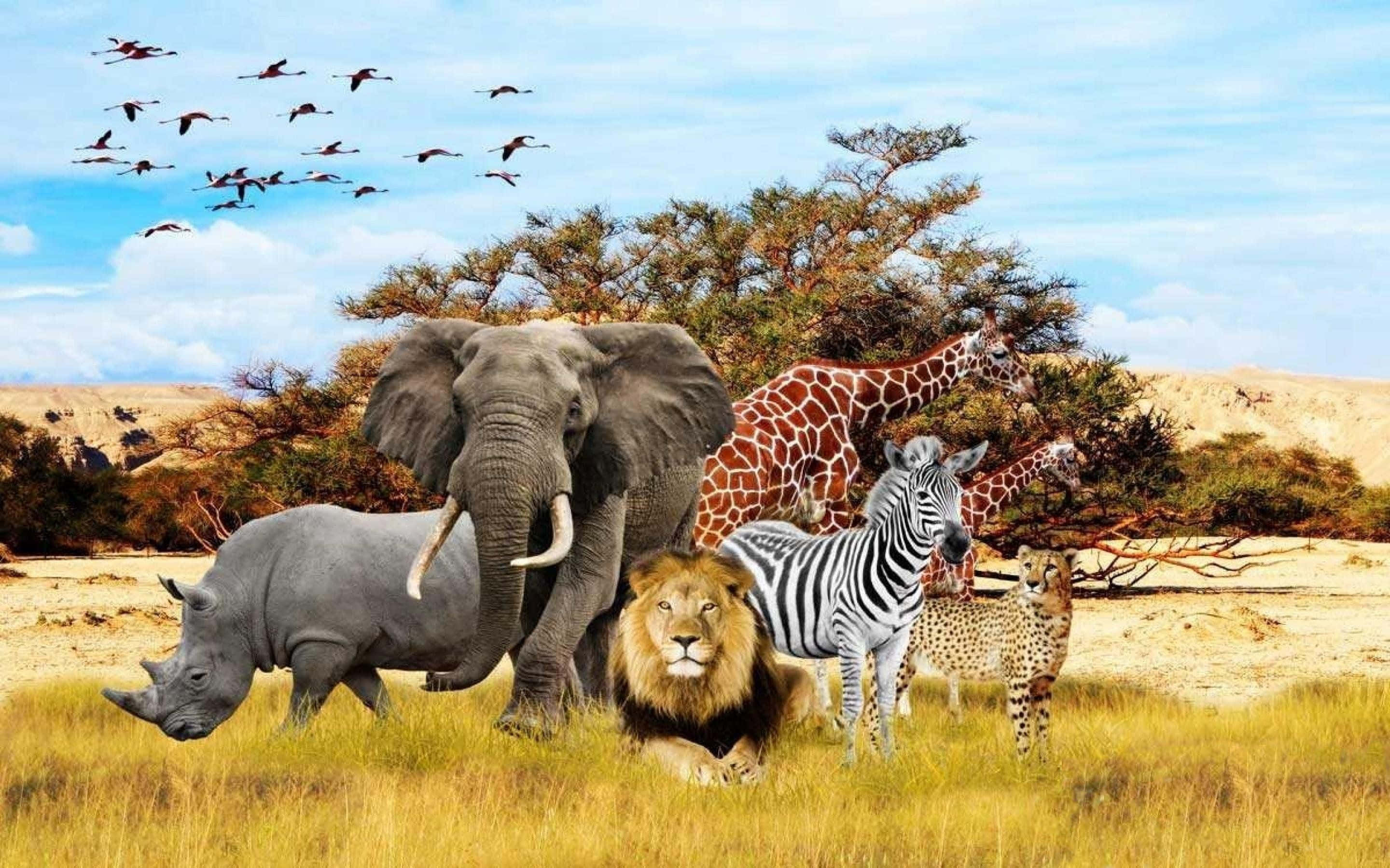 叢林背景中的野生動物 壁紙 — 一個充滿活力的非洲大草原場景，包括獅子、犀牛、大象、斑馬、長頸鹿和獵豹，火烈鳥在頭頂飛翔。