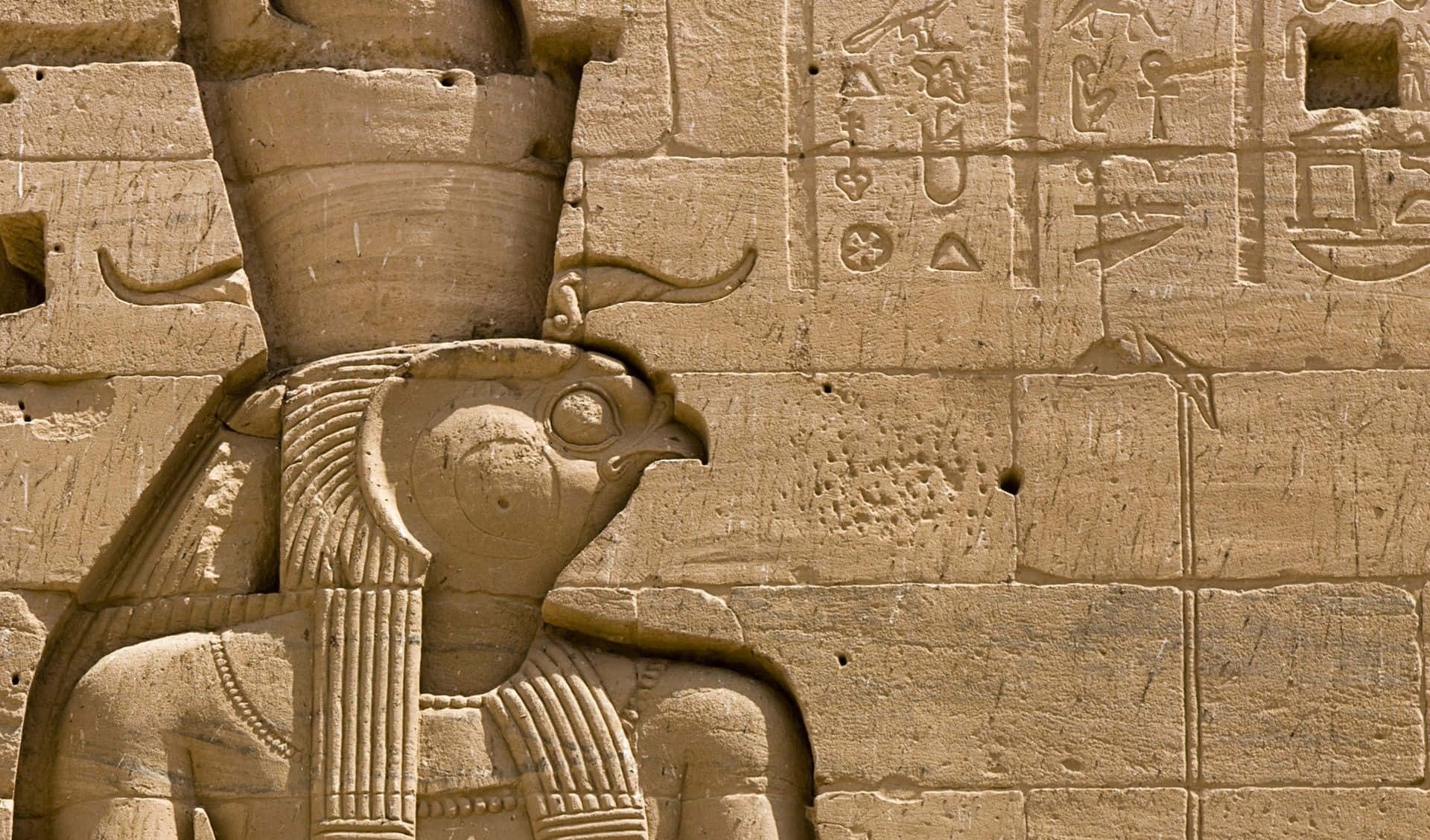 Egypt 桌布 壁紙 — 古埃及石浮雕特寫，描繪鷹頭神祇，象形文字刻在風化的砂岩牆上。
