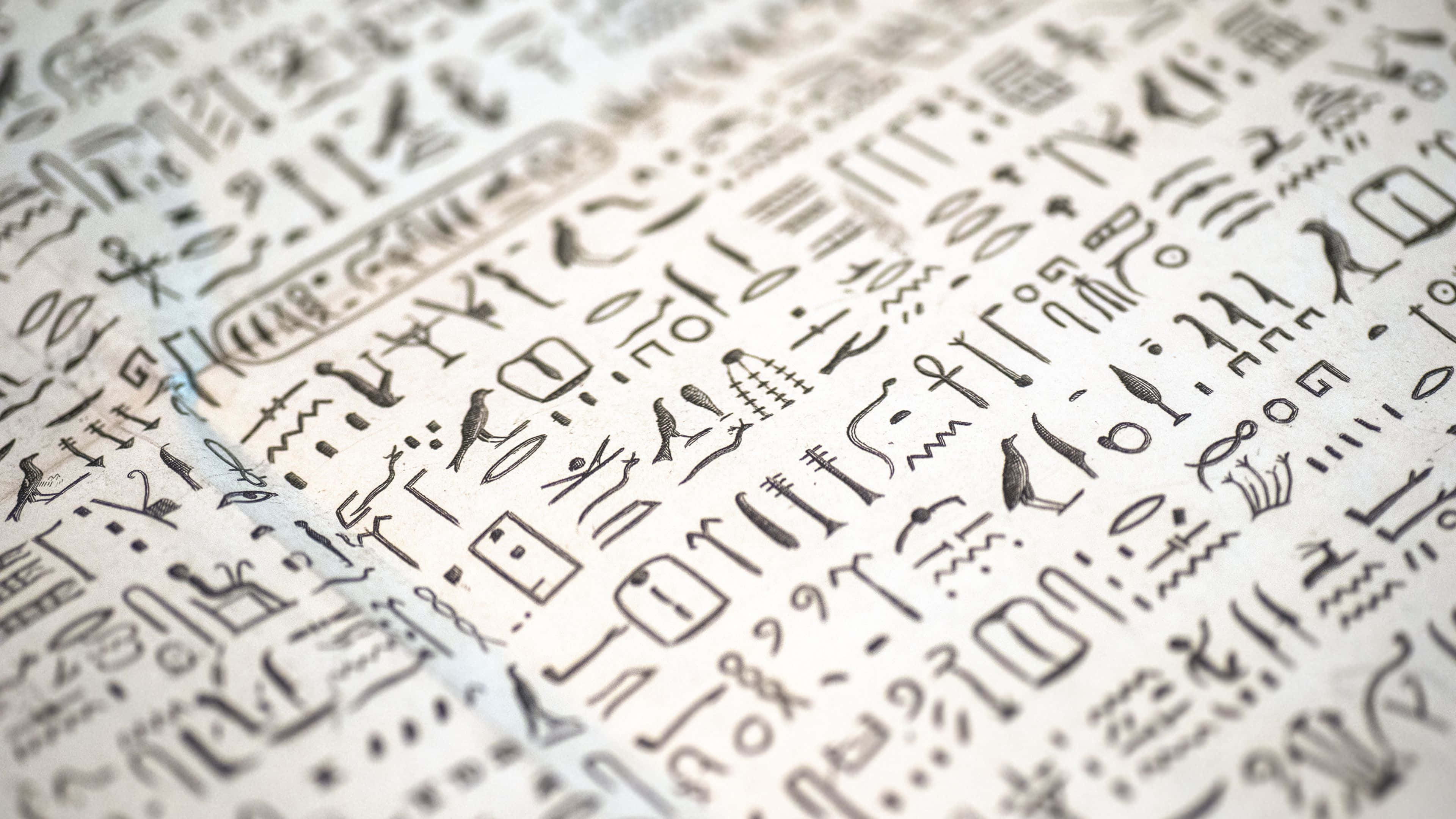 Ancient Egypt 桌布 壁紙 — 古埃及象形文字刻在紋理紙上的特寫，景深較淺。