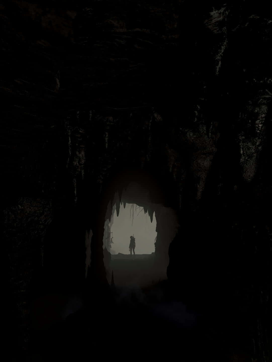 《古墓麗影：崛起》蘿拉·克羅夫特即將行動的Android背景 壁紙 — 一個孤獨的身影站在黑暗洞穴的入口，在遠方霧濛濛的灰色空間中形成剪影。