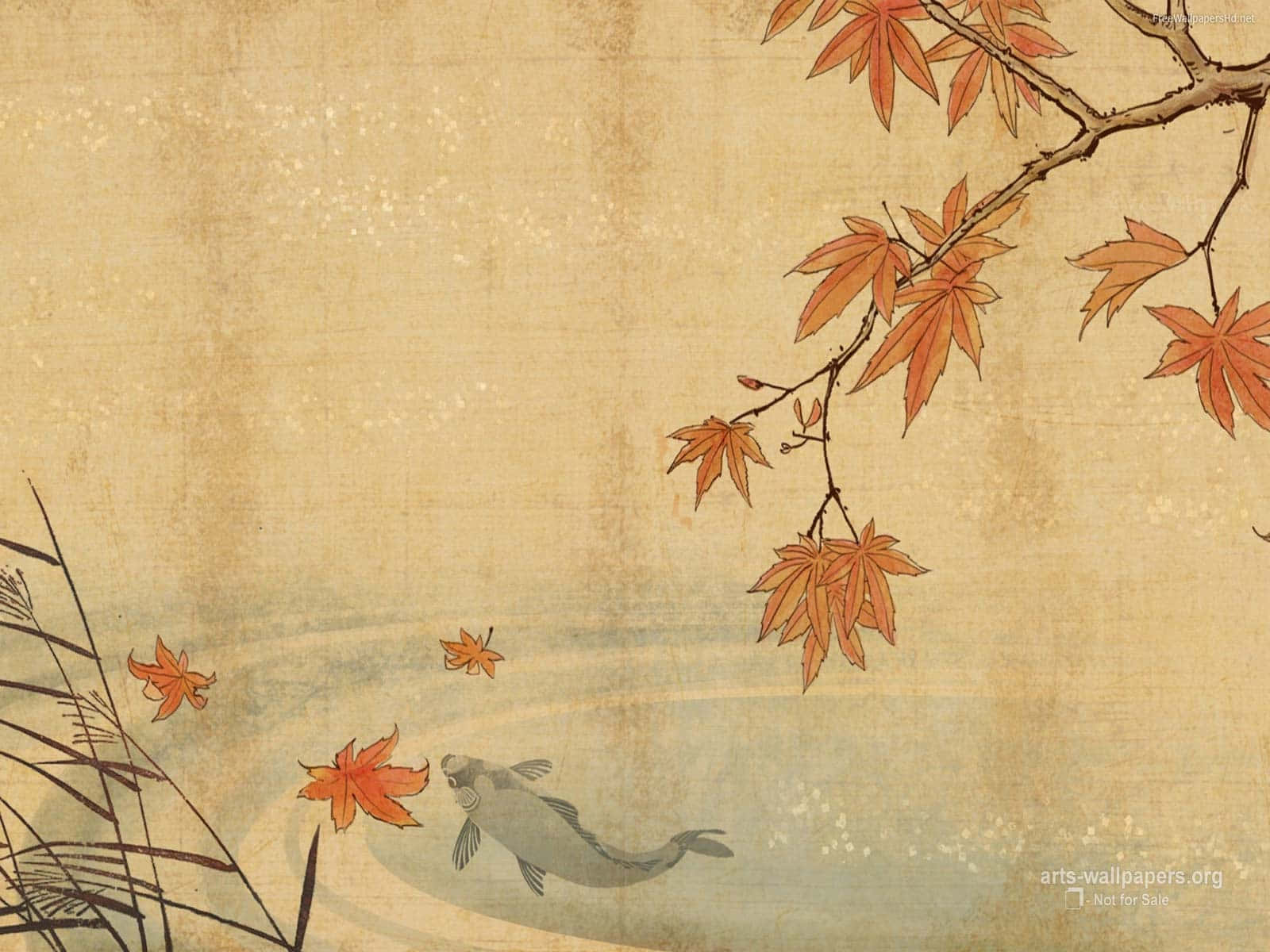 古日式風景 壁紙 — 一幅傳統日本畫描繪一條錦鯉在平靜水面上漂浮的秋楓葉下游動。