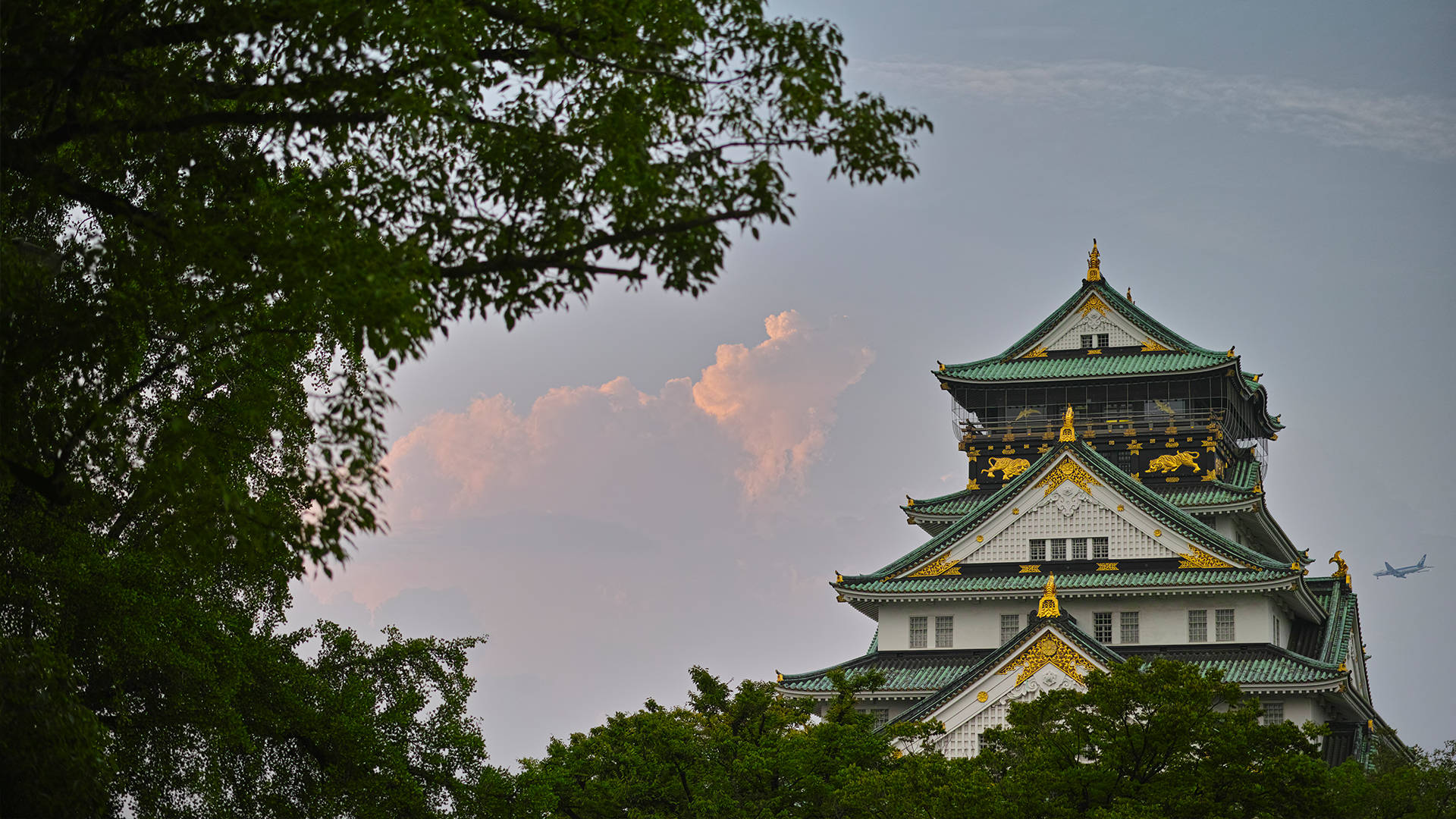 古樸的大阪城 壁紙 — 一座雄偉的日本城堡，擁有綠色屋頂和金色裝飾，在柔和的粉紅色和灰色暮色天空下，聳立在茂密的樹木之上。