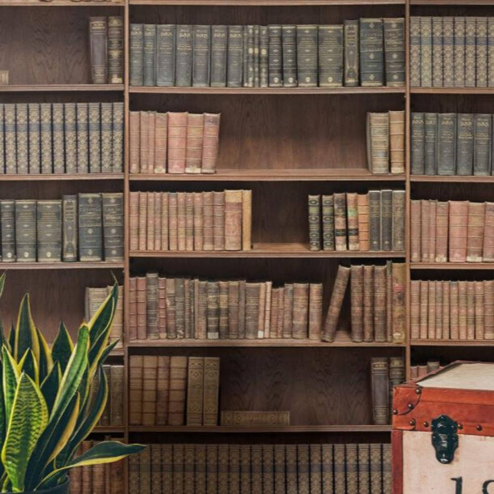 古籍書架與蛇植物 壁紙 — 一個豐富的木書架，裝滿了復古皮革裝訂的書籍，旁邊有一個紅色行李箱和一株蛇植物。