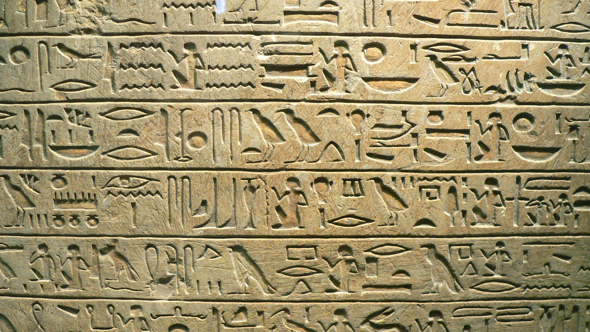Ancient Egypt 桌布 壁紙 — 古老埃及象形文字刻在風化石頭上的特寫，帶有複雜的符號和圖案。