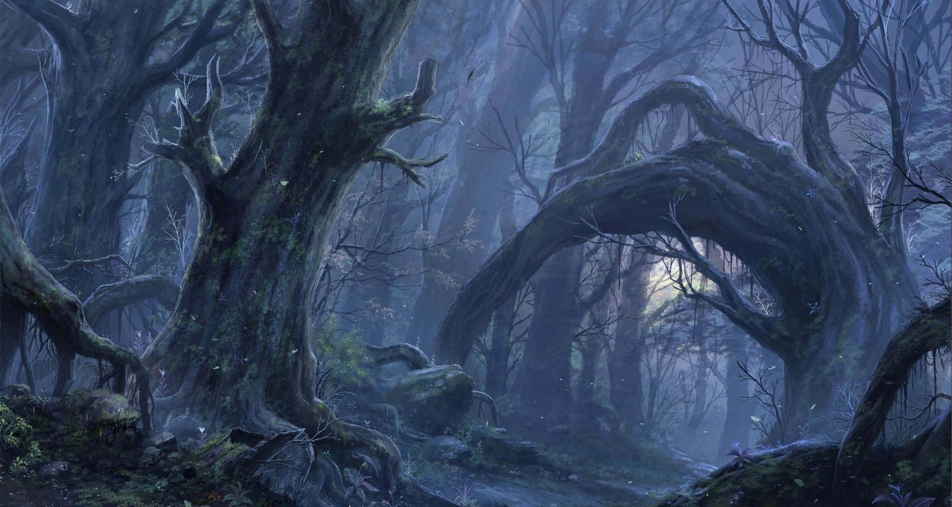 Enchanting 桌布 壁紙 — 古老多節的樹木在迷霧暮色森林中拱起，發光的苔蘚和空靈的光線穿過光禿的樹枝。