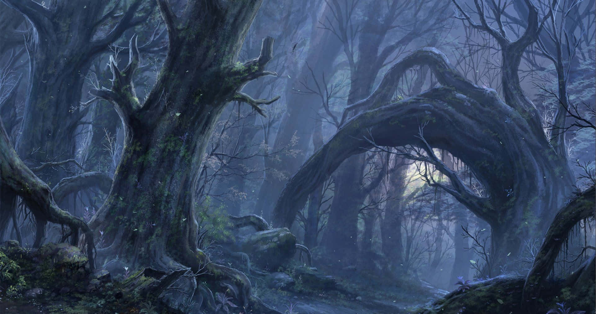 Enchanted Forest 桌布 壁紙 — 古老扭曲的樹木在黑暗魔法森林中形成一條霧氣拱門，散發著空靈的藍光。