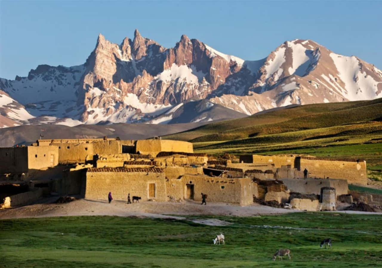 Afghanistan 桌布 壁紙 — 古老石村坐落在金色草原上，高聳的雪山沐浴在溫暖的日出光中。