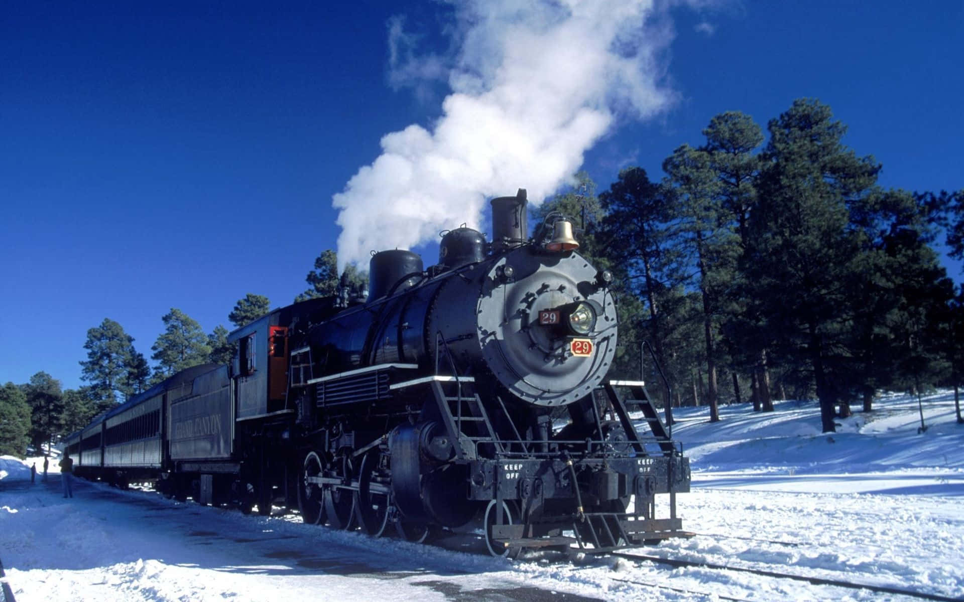 黑色蒸汽火車在明亮的冬日穿過白雪覆蓋的松樹林。