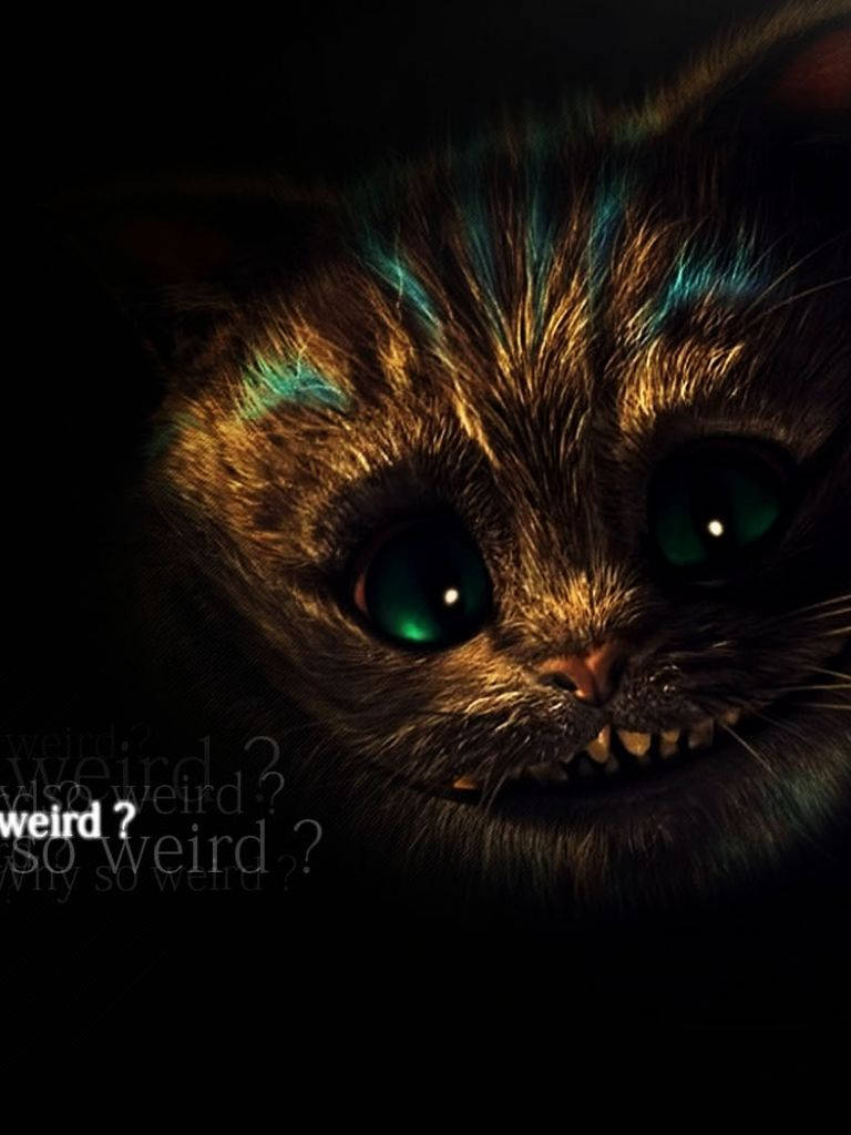 一隻深色貓咪，擁有發光的綠色眼睛和鋒利的牙齒，文字寫著 weird?