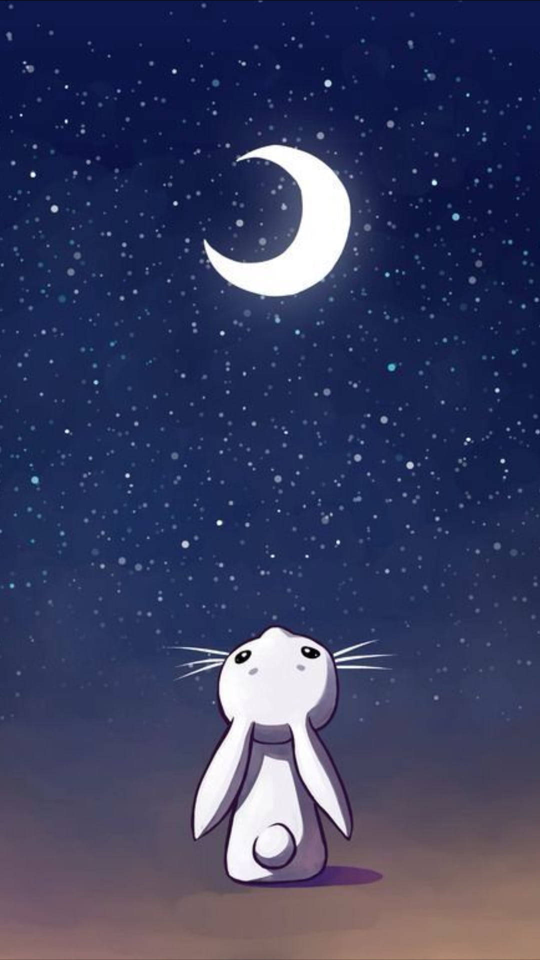 一隻白兔仰望夜空中的新月和星星。