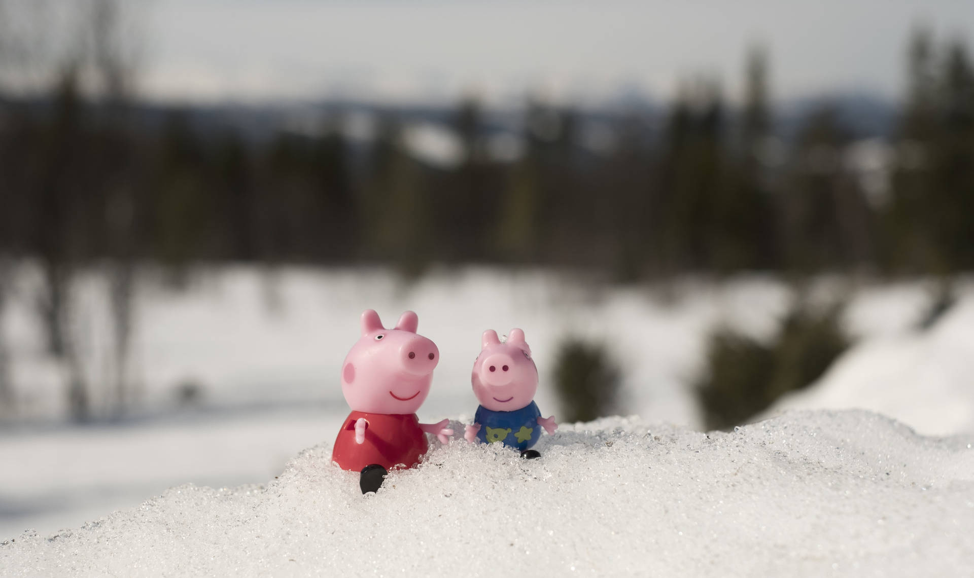 Peppa Pig 和 George 玩具公仔在雪中，森林背景