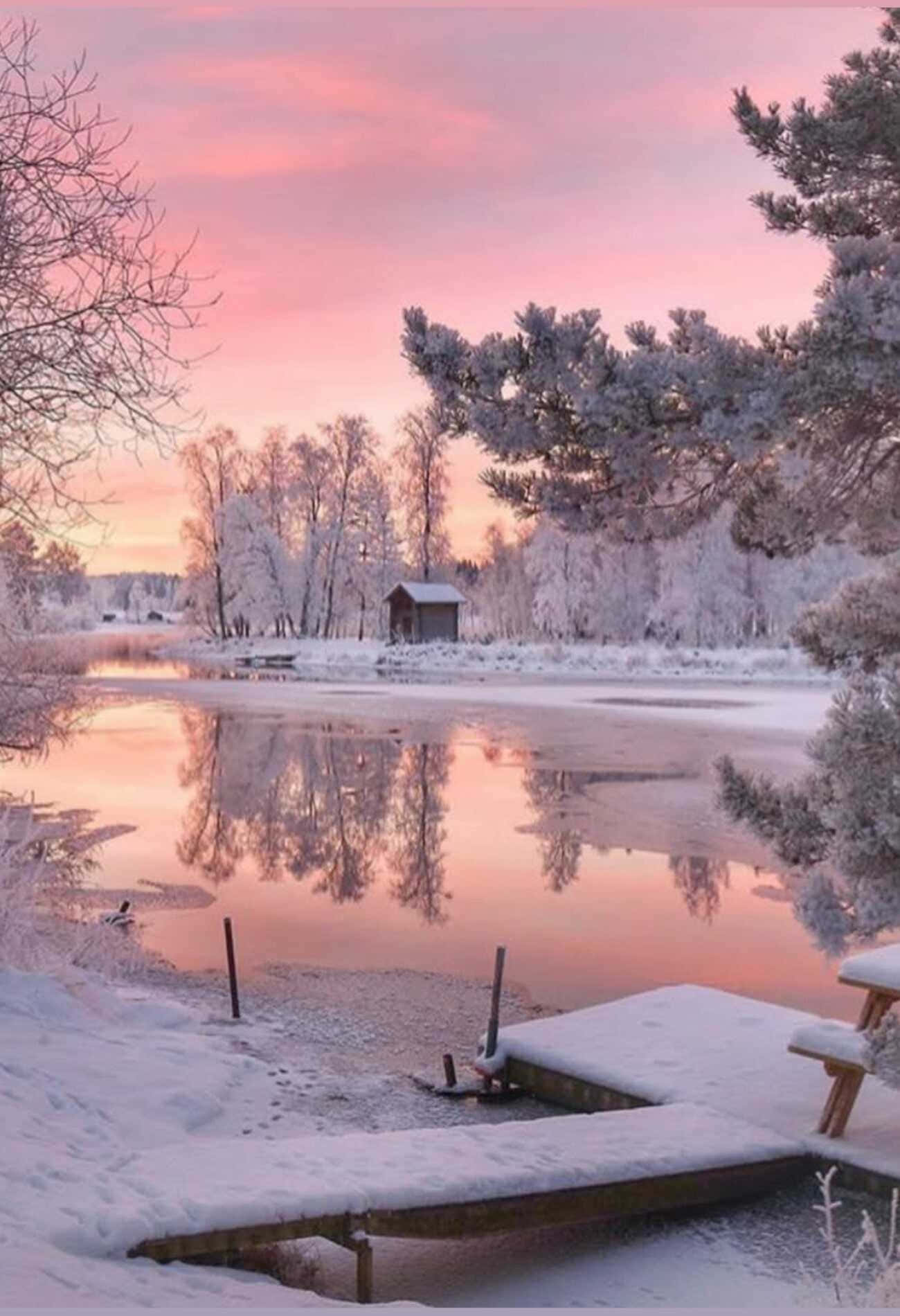 可愛冬日小屋雪景背景 壁紙 — 一個被雪覆蓋的冬日湖泊在日落時分反射出粉紅色和橙色的天空，周圍有結霜的樹木和一個木製碼頭。