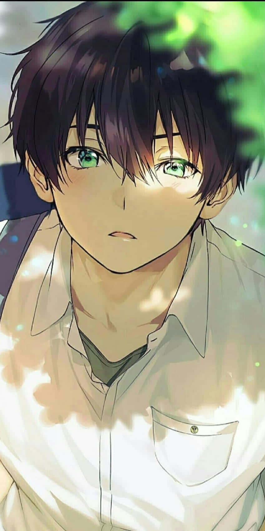 動漫男孩，綠色眼睛和深色頭髮，在樹葉陽光下。