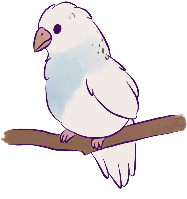 可愛動畫貓頭鷹鳥棲息枝頭 壁紙 — 一隻可愛的白色卡通鳥，帶有淺藍色陰影，棲息在黑色背景的棕色樹枝上。