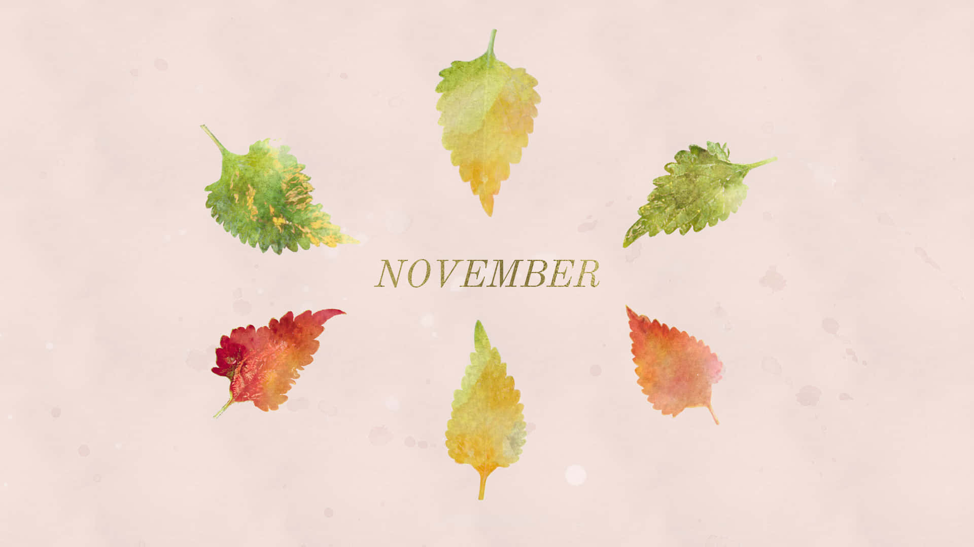 六片色彩繽紛的水彩葉子排列在米色背景上的「November」字樣周圍。