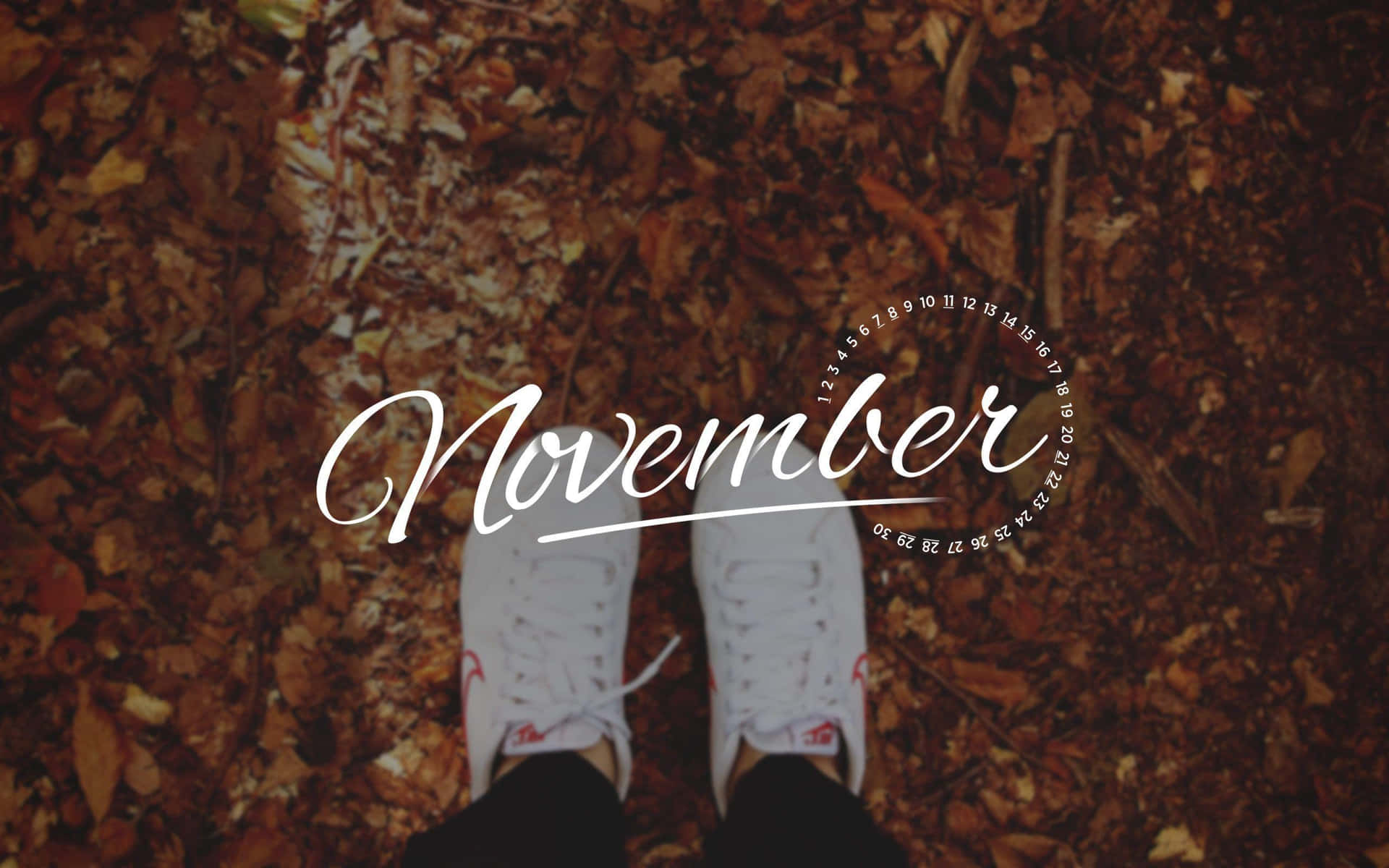 落葉上的白色運動鞋，帶有 November 文字疊加。