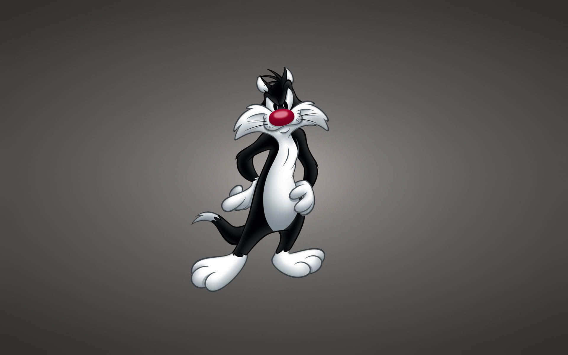 Looney Tunes 的卡通貓 Sylvester 雙手叉腰站立。